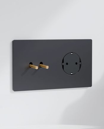 Doble Interruptor y Schuko